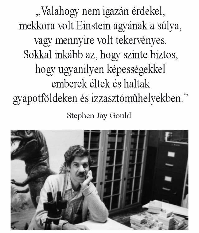 18199050_1267358016709711_8500578967934924257_n