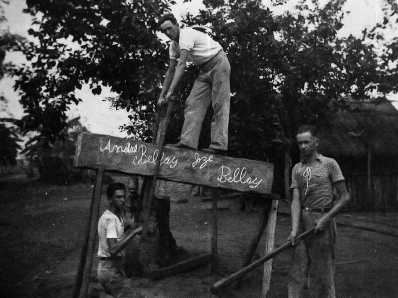 Colonies Without Colonies? Race, Colonialism and Whiteness in the Hungarian Colonies of Southern Brazil